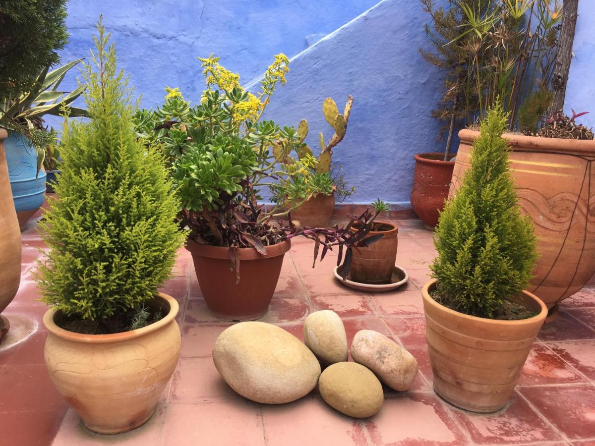 Dar Onsar Bed and Breakfast Chefchaouen Buitenkant foto